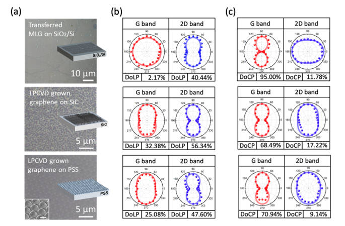 圖1:石墨烯在不同基板上的偏振解析拉曼強度極座標圖。(a) 石墨烯在SiO2/Si , SiC, 和PSS的光學顯微鏡影像,及示意圖,左下角為掃描式電子顯微鏡影像圖。(b) 石墨烯在不同基板上拉曼特徵鋒(G-band和2D-band)的偏振拉曼極座標圖,其中入射光為線偏振光。(c) 石墨烯在不同基板上拉曼特徵鋒(G-band和2D-band)的偏振拉曼極座標圖,其中入射光為圓偏振光。