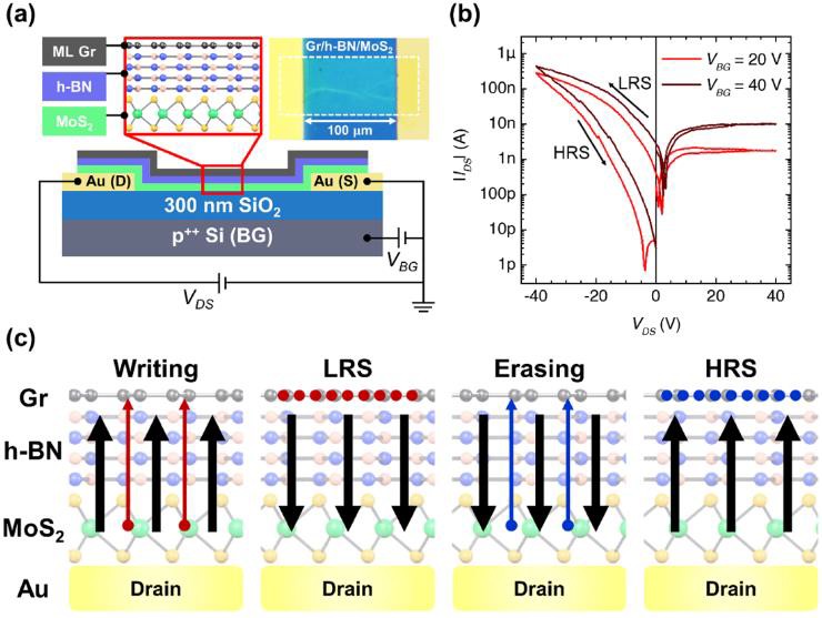 圖一:(a)凡德瓦異質結構浮動閘極記憶體示意圖。(b)憶阻特性之汲極與源極電流(IDS)電壓(VDS)曲線。(c)穿隧式電荷儲存式意圖。